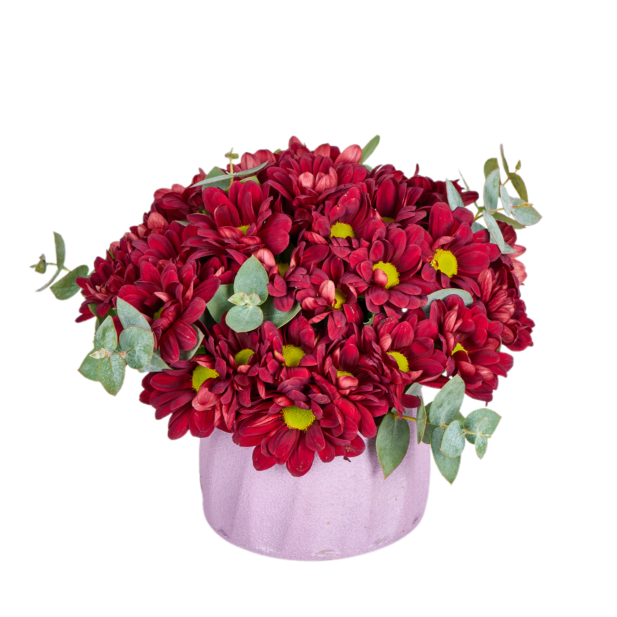 Midnight Bloom