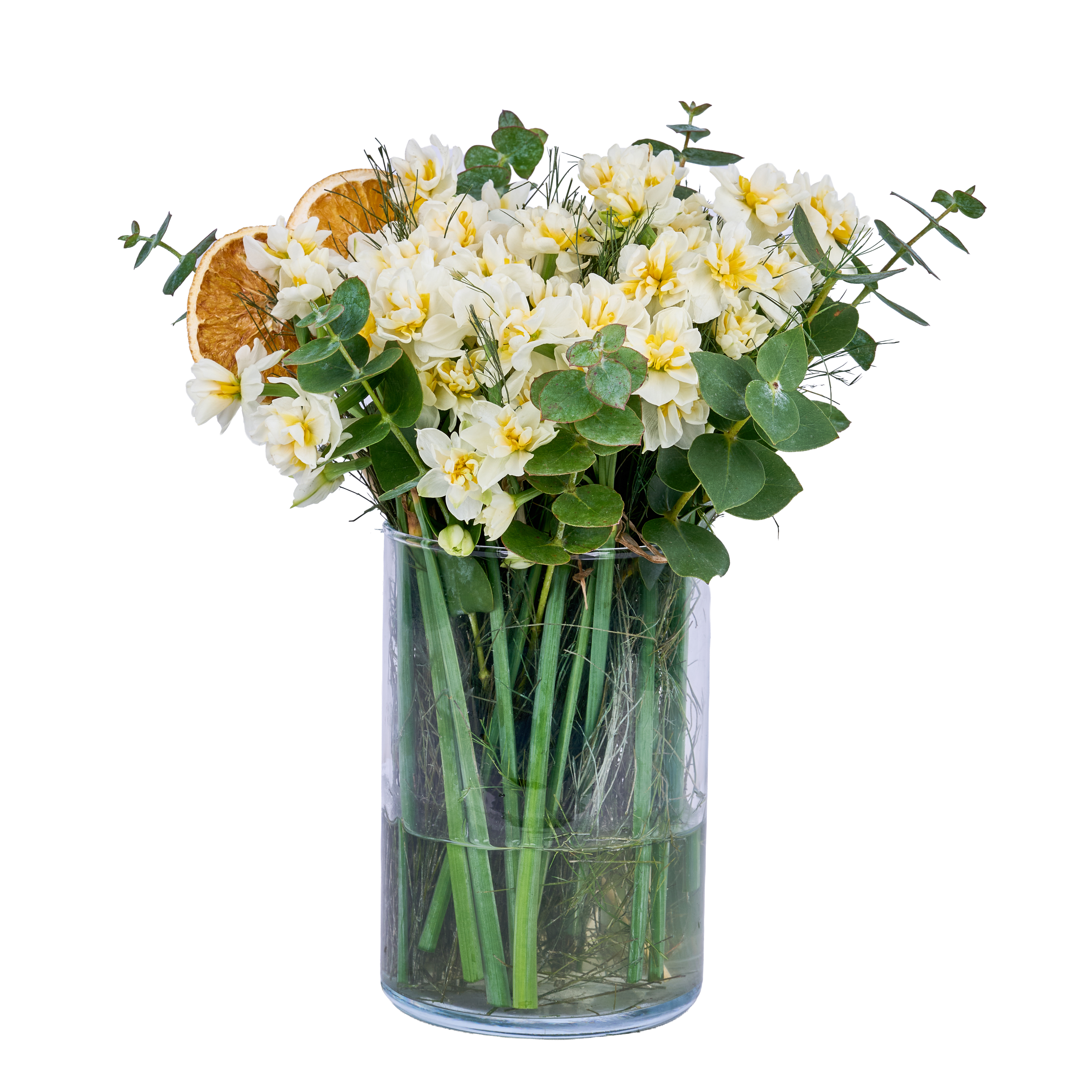 Narcissus Dream