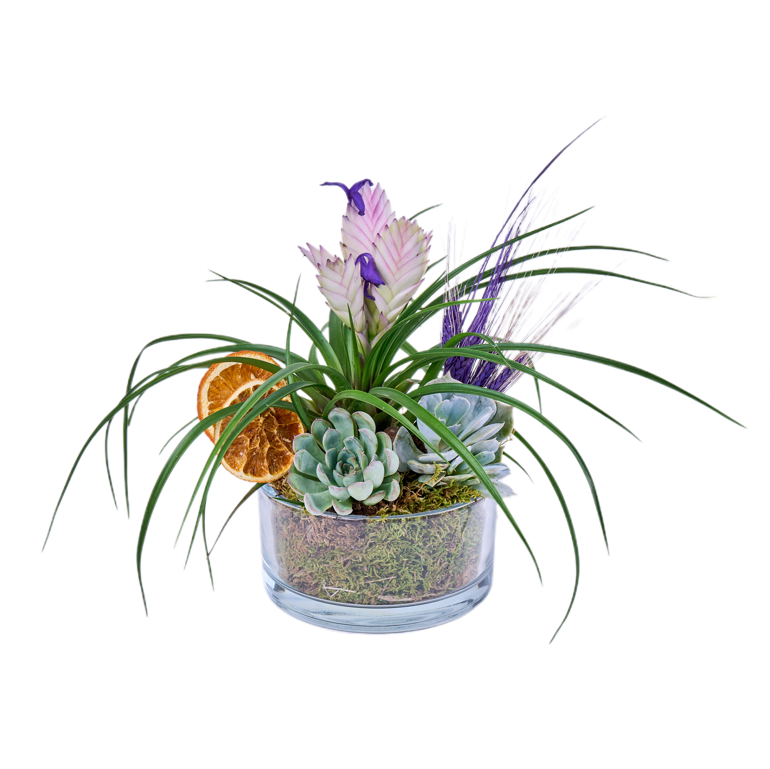 Natural Air Garden