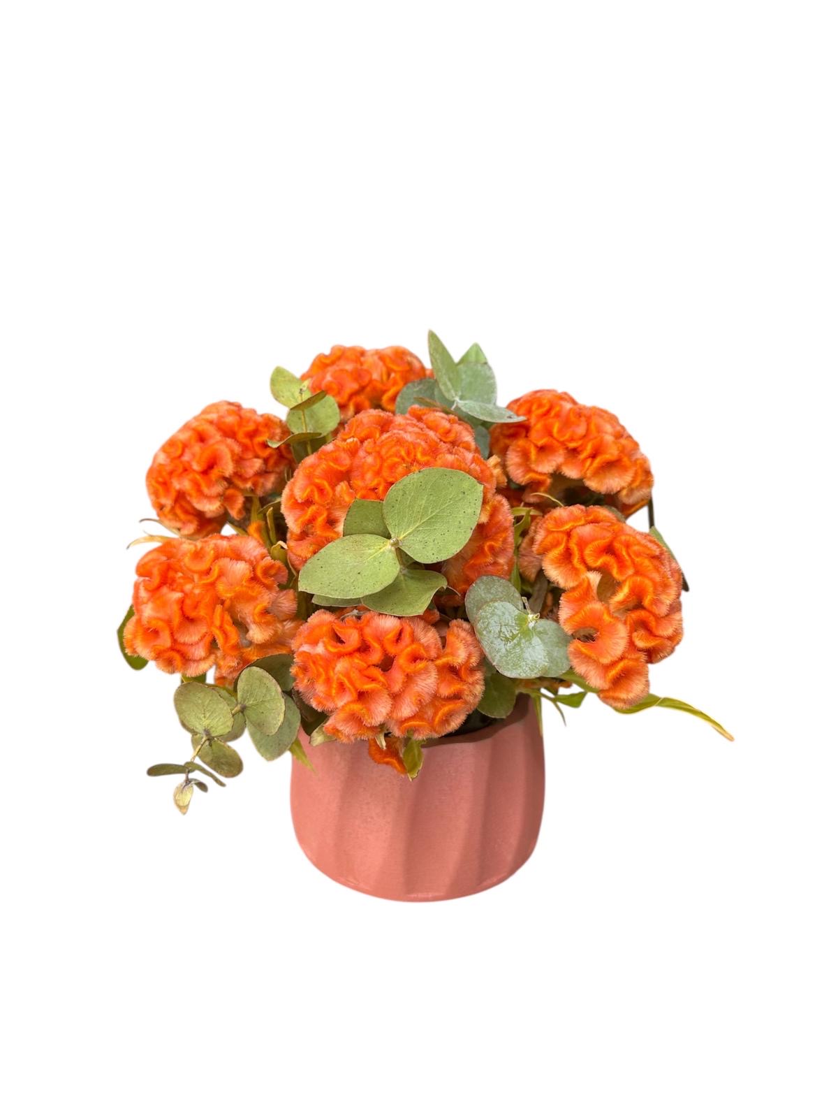 Orange Elegance